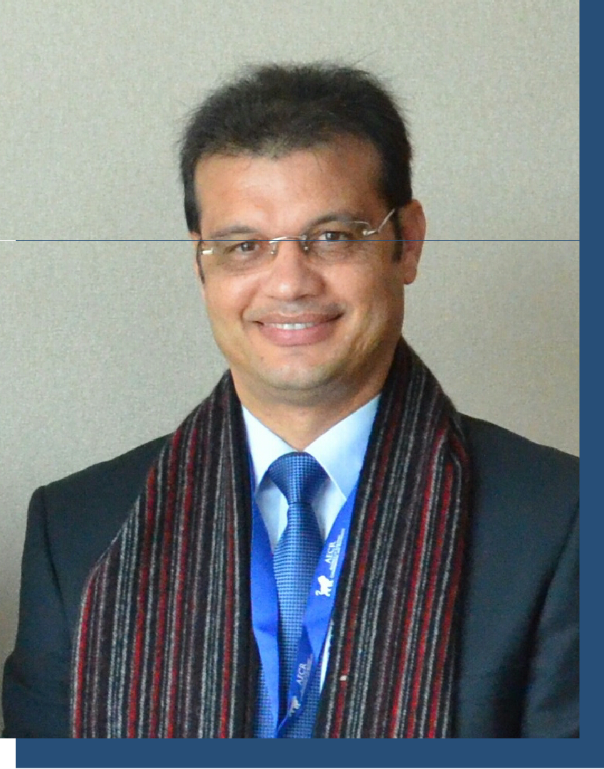 Portrait of Mr. Rahhal El Makkaoui